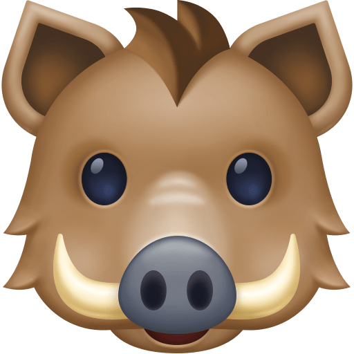 Boar for Facebook 16.0