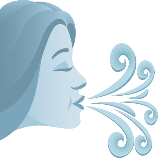 Wind Face for JoyPixels 10.0