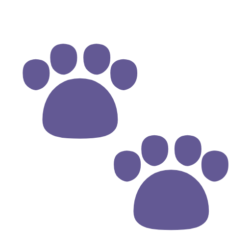 Paw Prints for Microsoft Windows 11 24H2 August 2025 Update