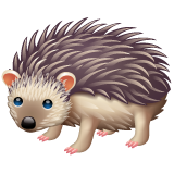 Hedgehog for WhatsApp 2.26.8.72