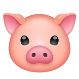 Pig Face for WhatsApp 2.26.8.72