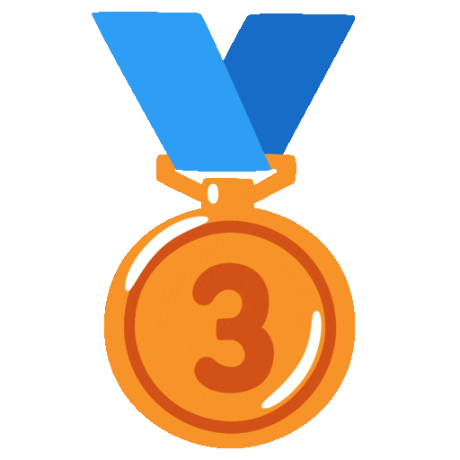 3rd Place Medal