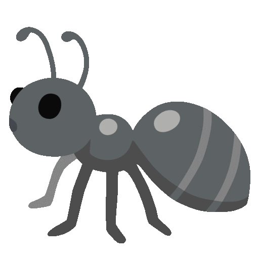Ant