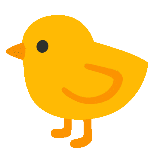 Baby Chick