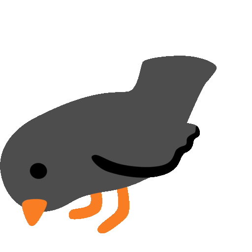 Black Bird