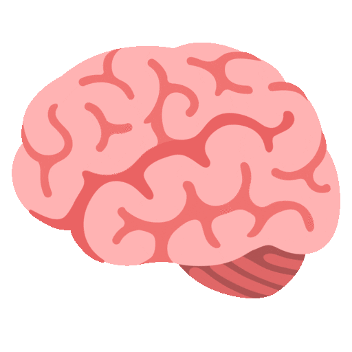 Brain