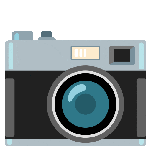 Camera with Flash