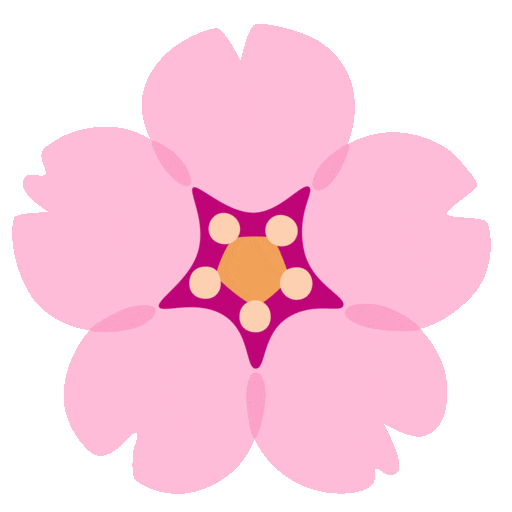Cherry Blossom