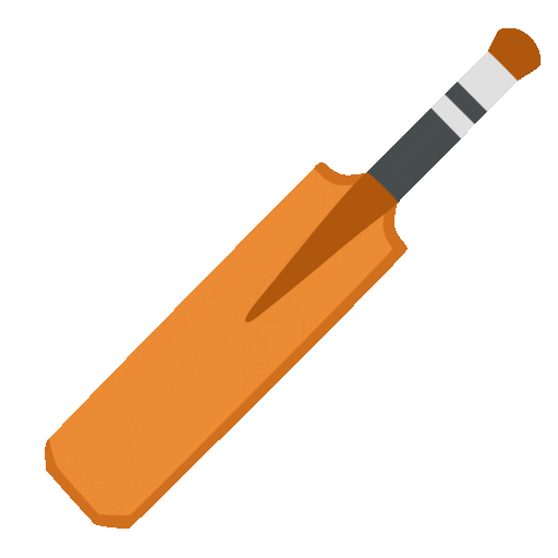 Cricket Game