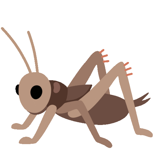 Cricket