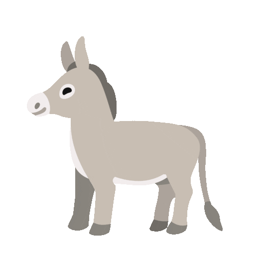 Donkey