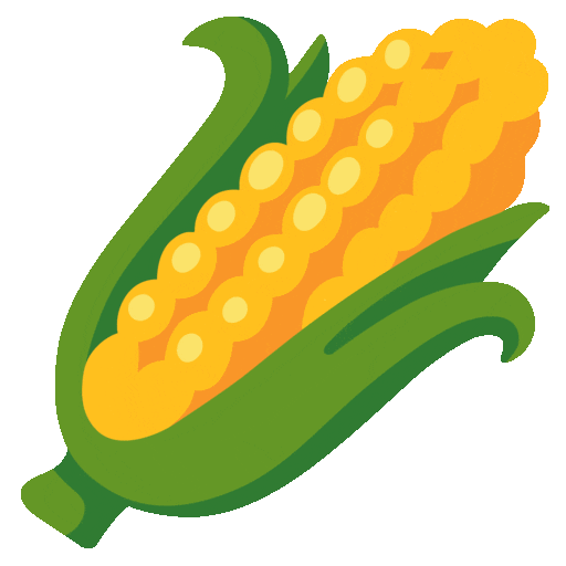 Ear of Corn