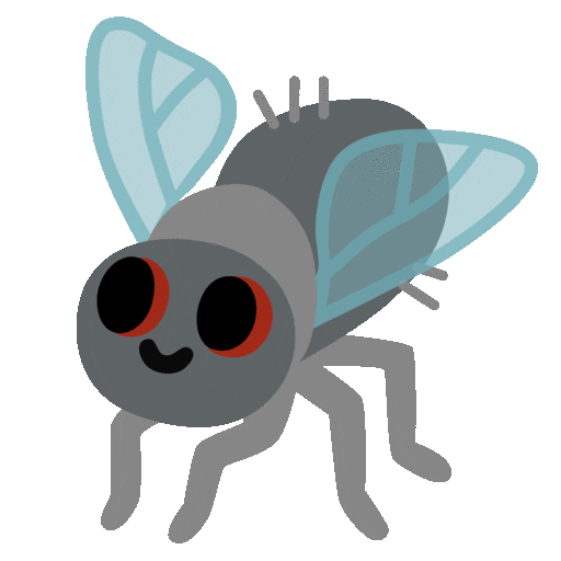 Fly