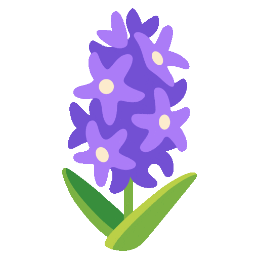 Hyacinth