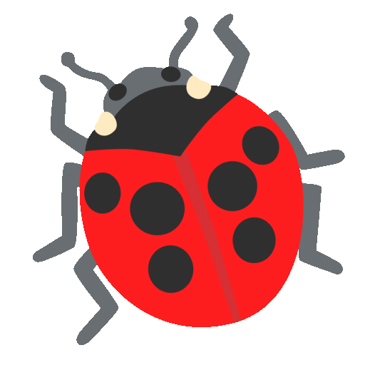 Lady Beetle
