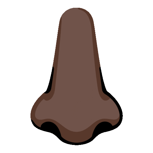 Nose: Dark Skin Tone