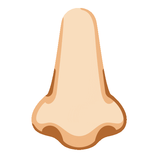 Nose: Light Skin Tone