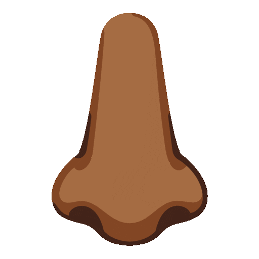 Nose: Medium-Dark Skin Tone