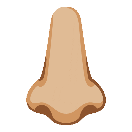 Nose: Medium-Light Skin Tone