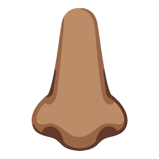 Nose: Medium Skin Tone