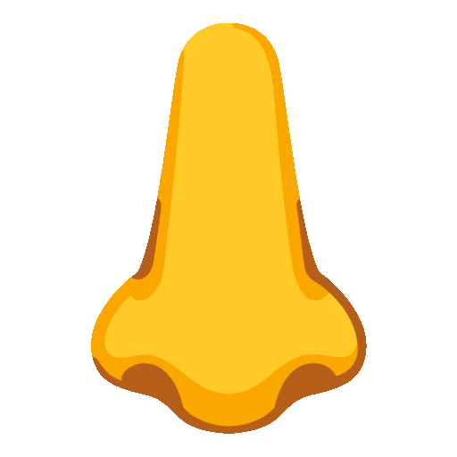 Nose