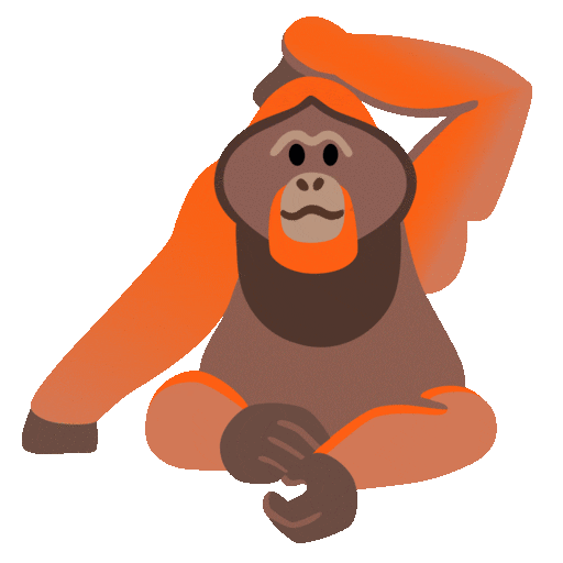 Orangutan