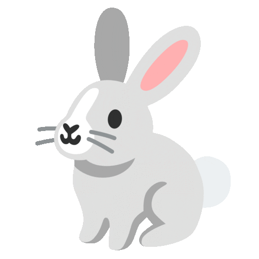 Rabbit