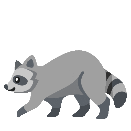 Raccoon
