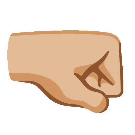 Right-Facing Fist: Medium-Light Skin Tone