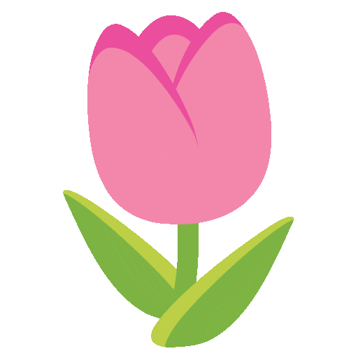 Tulip