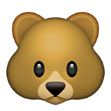 Rosto De Urso