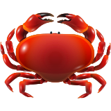 Caranguejo
