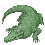 Crocodilo