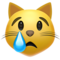Rosto De Gato Chorando