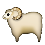 Ovelha