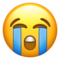 Rosto Chorando Aos Berros