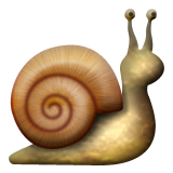 Caracol