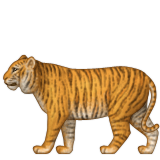 Tigre