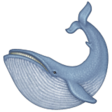 Baleia