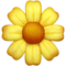 Blossom