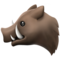 Boar