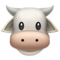 Cow Face