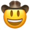 Cowboy Hat Face