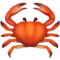 Crab