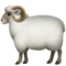 Ewe