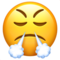 Face with Steam From Nose