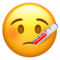 Face with Thermometer