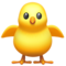 Front-Facing Baby Chick