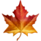 Maple Leaf