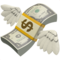 Money with Wings